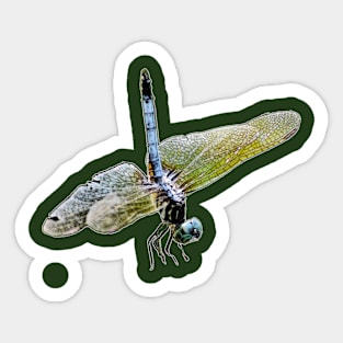 Dragonfly Photo Sticker